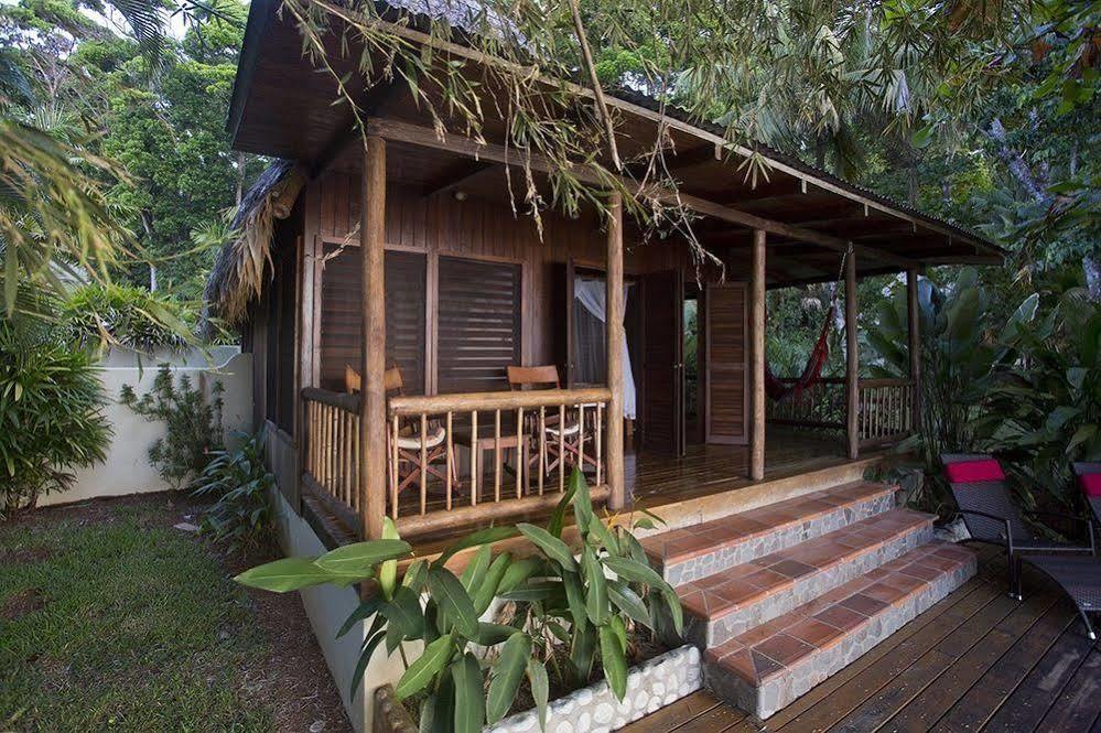 Bosque Del Cabo Rain Forest Lodge Puerto Jiménez エクステリア 写真